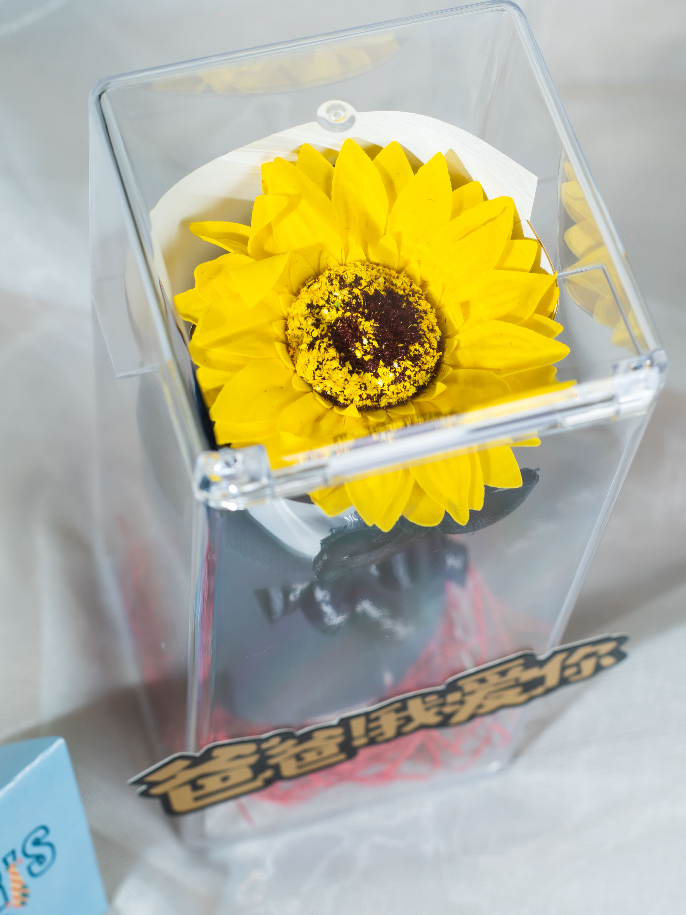 Show Out - Freeland Floral thumbnail 5