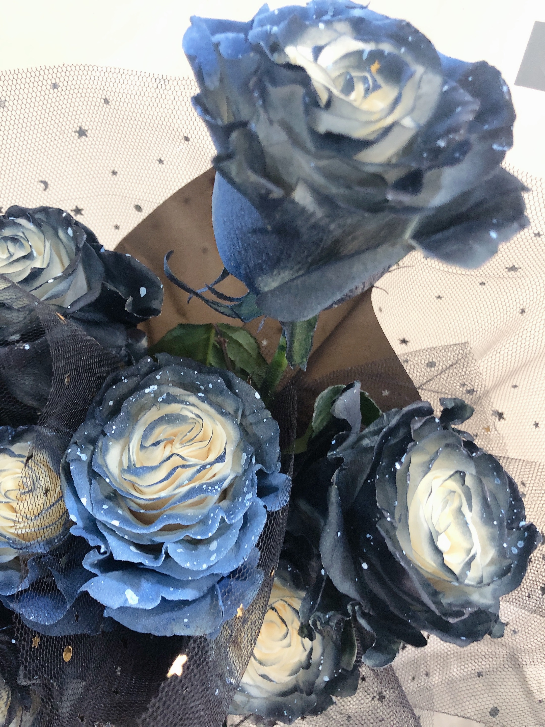 Eternal Starry - Freeland Floral thumbnail 5