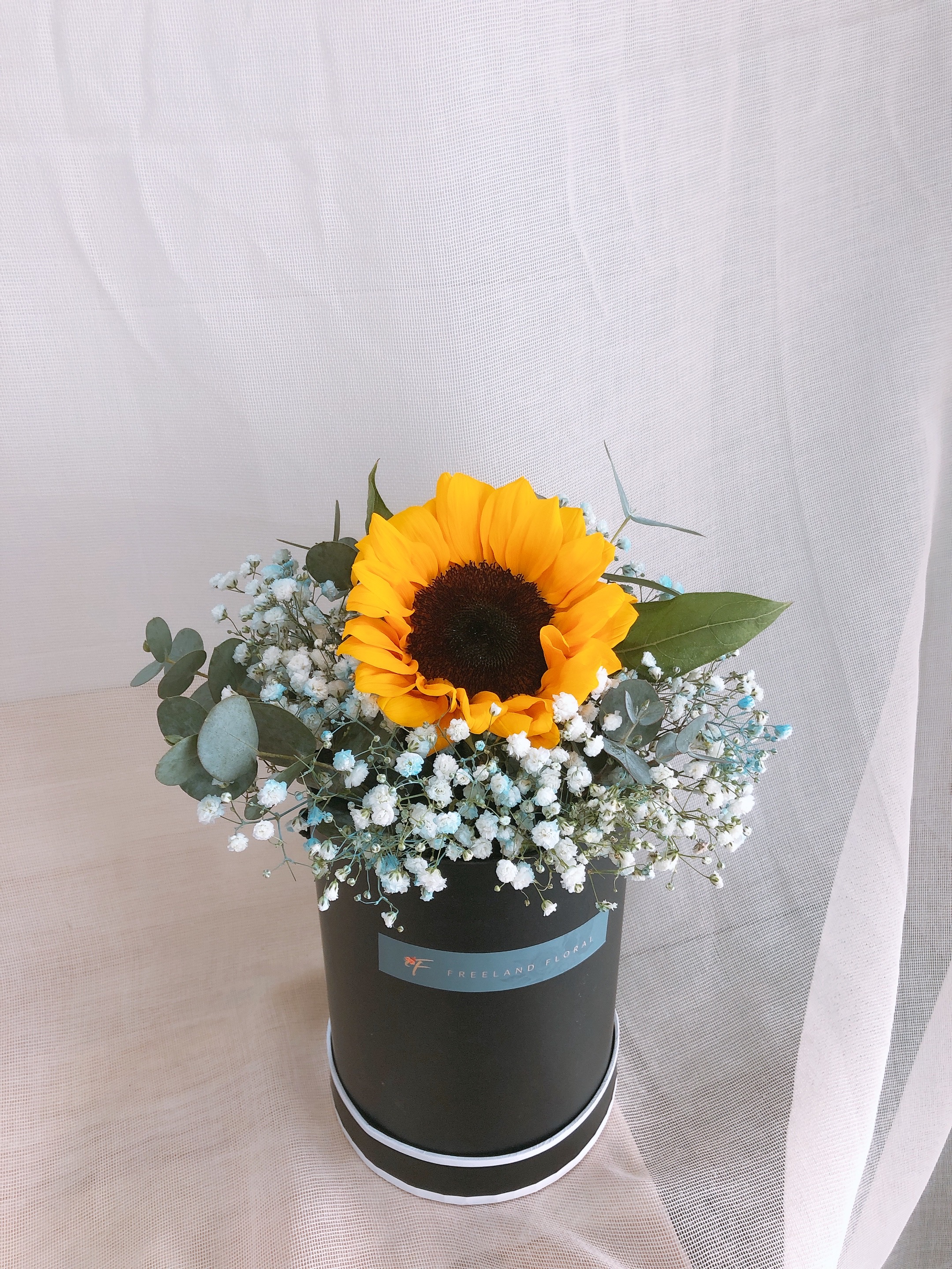Sunshine Boy - Freeland Floral thumbnail 1