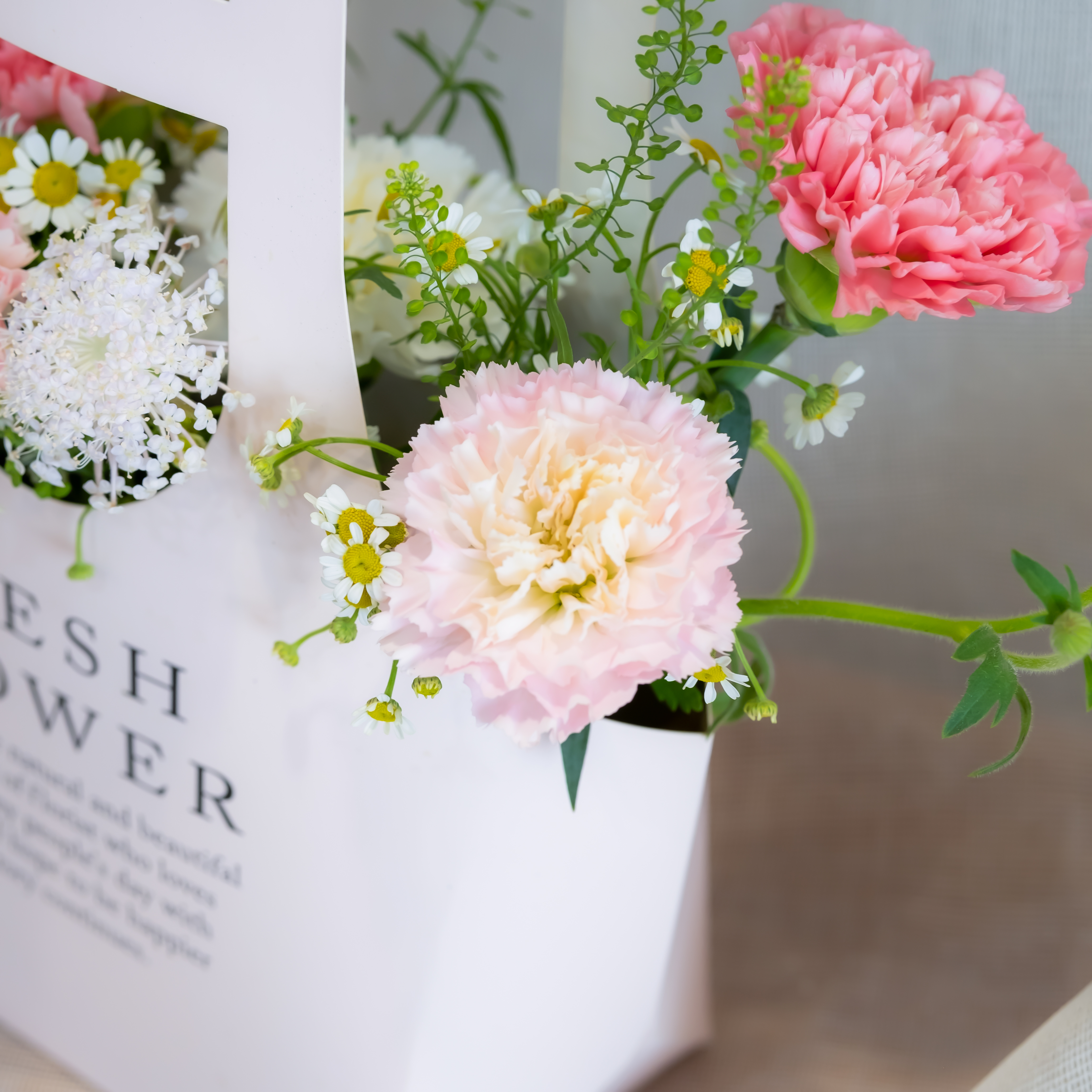 Carnation with Message ver.2024