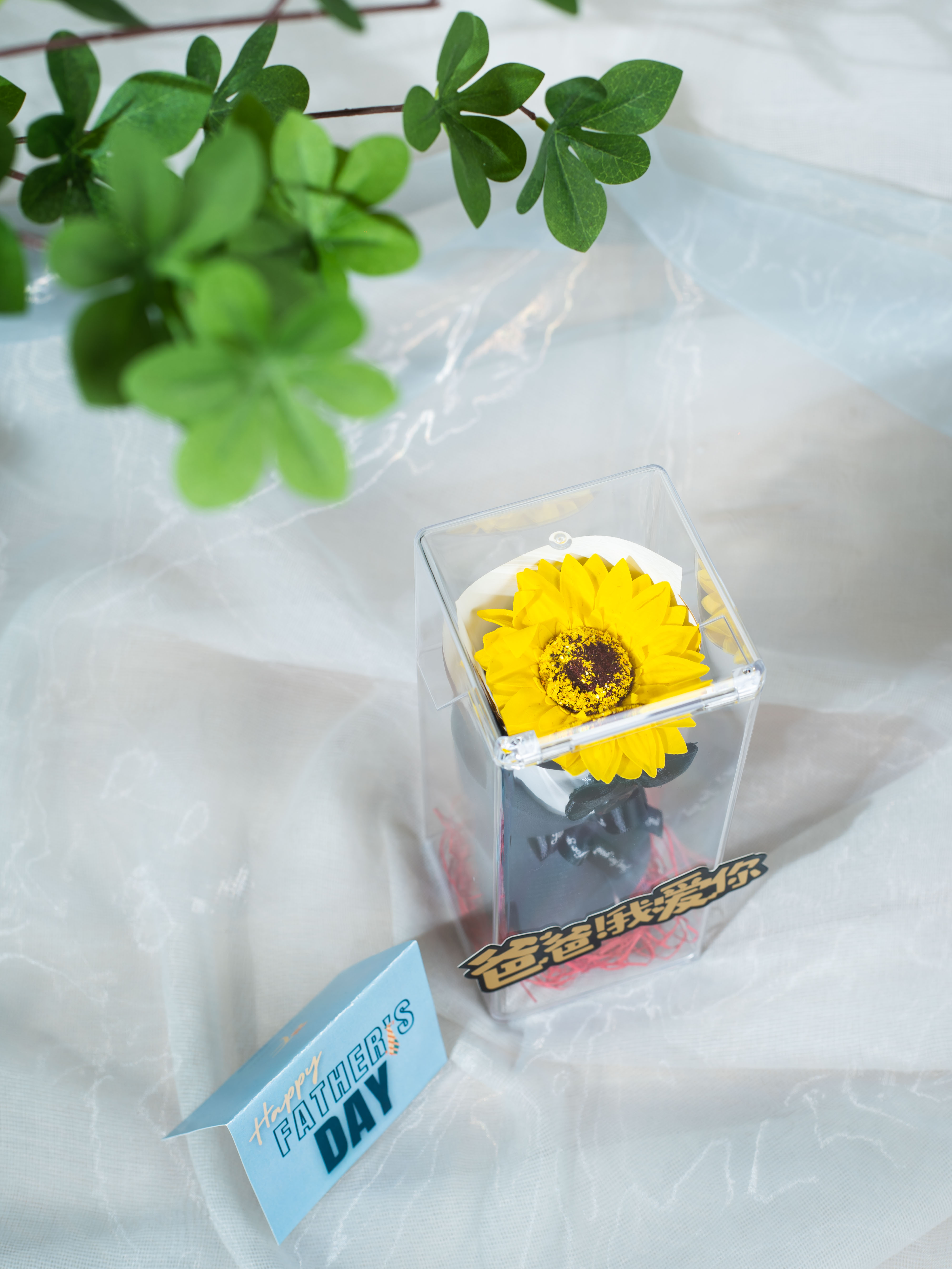 Show Out - Freeland Floral thumbnail 6