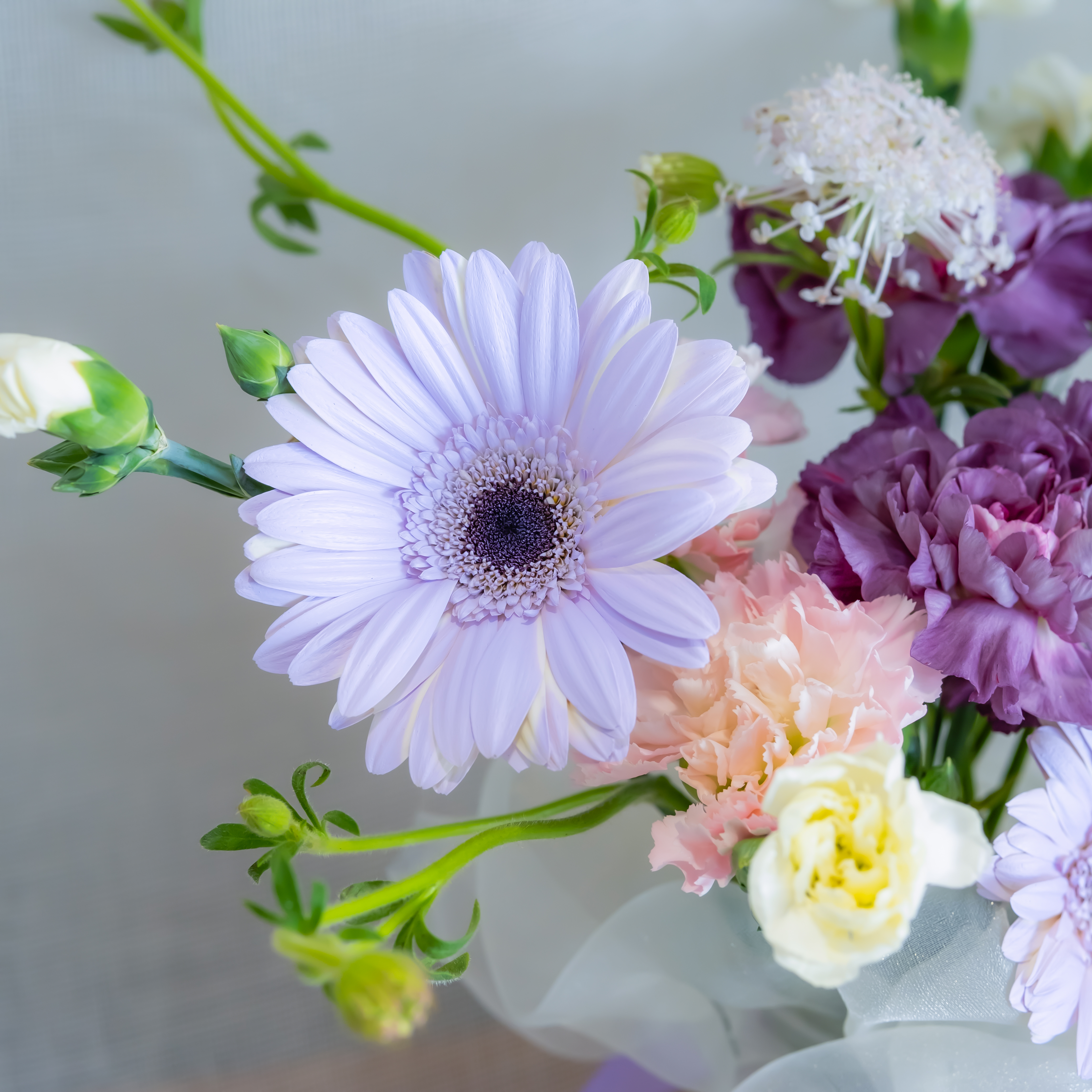 Flowers Warm the House