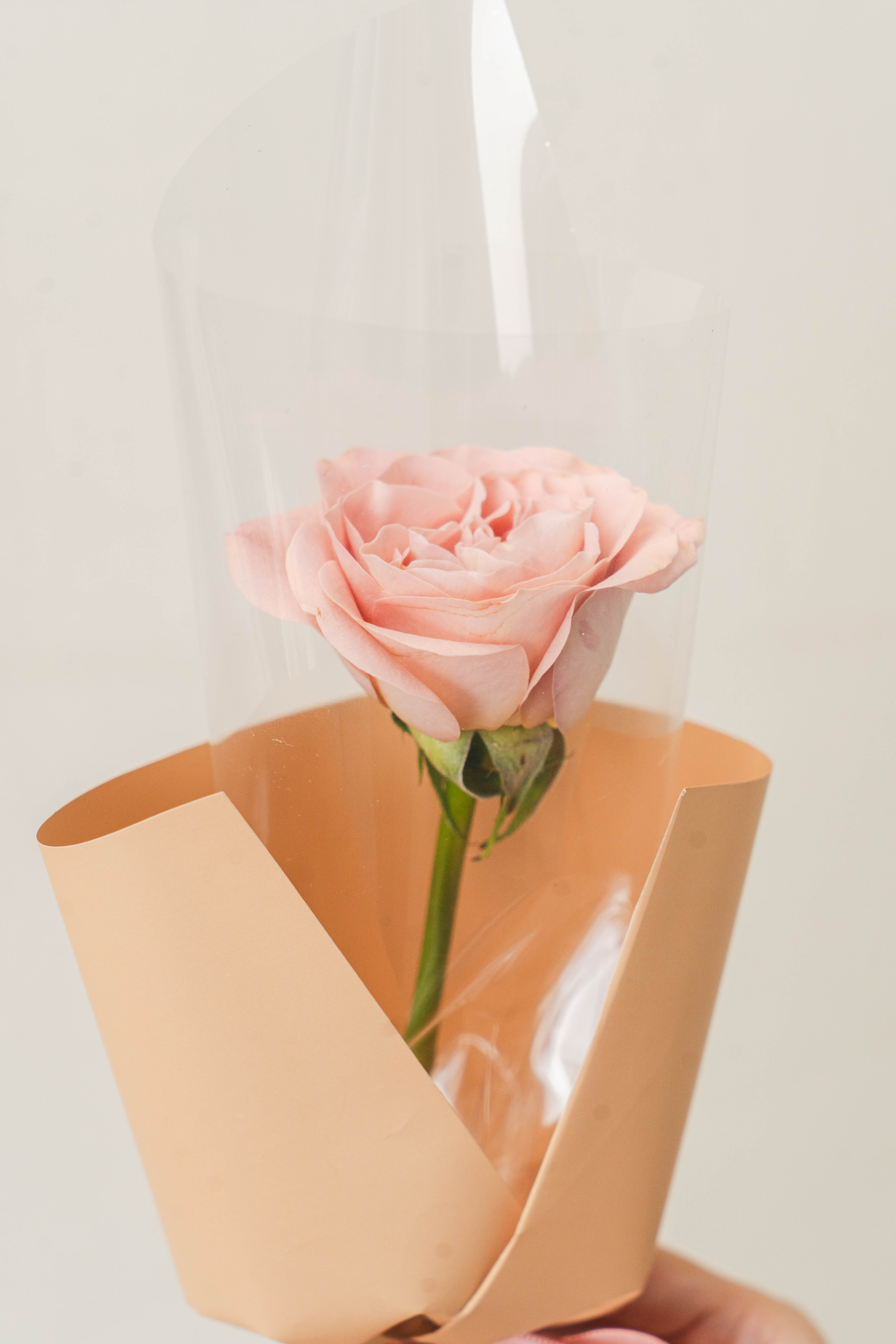 Single Rose Noble Bouquet