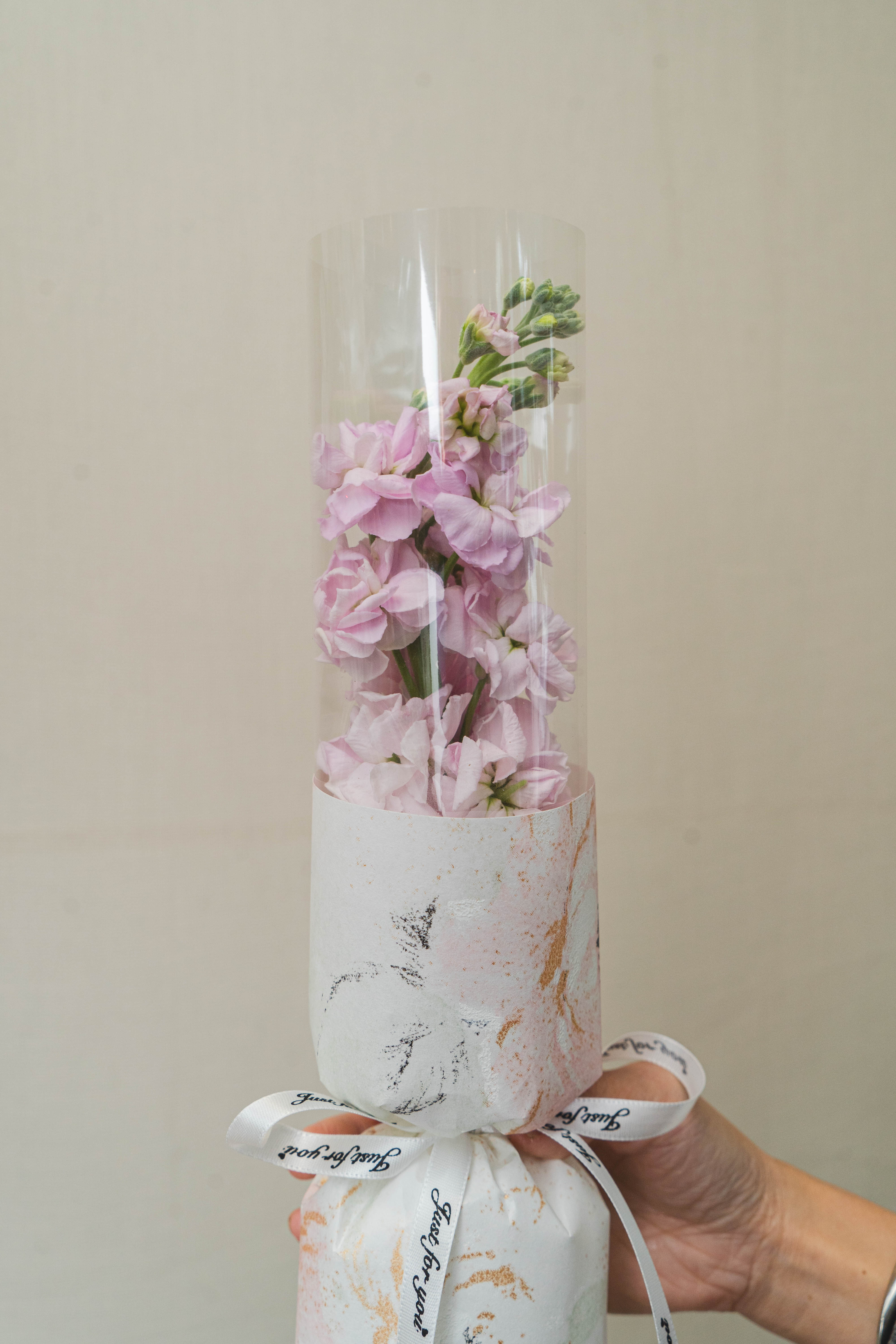 Single Matthiola Simple Wrapping